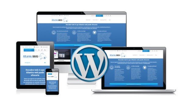 Wordpress Professional